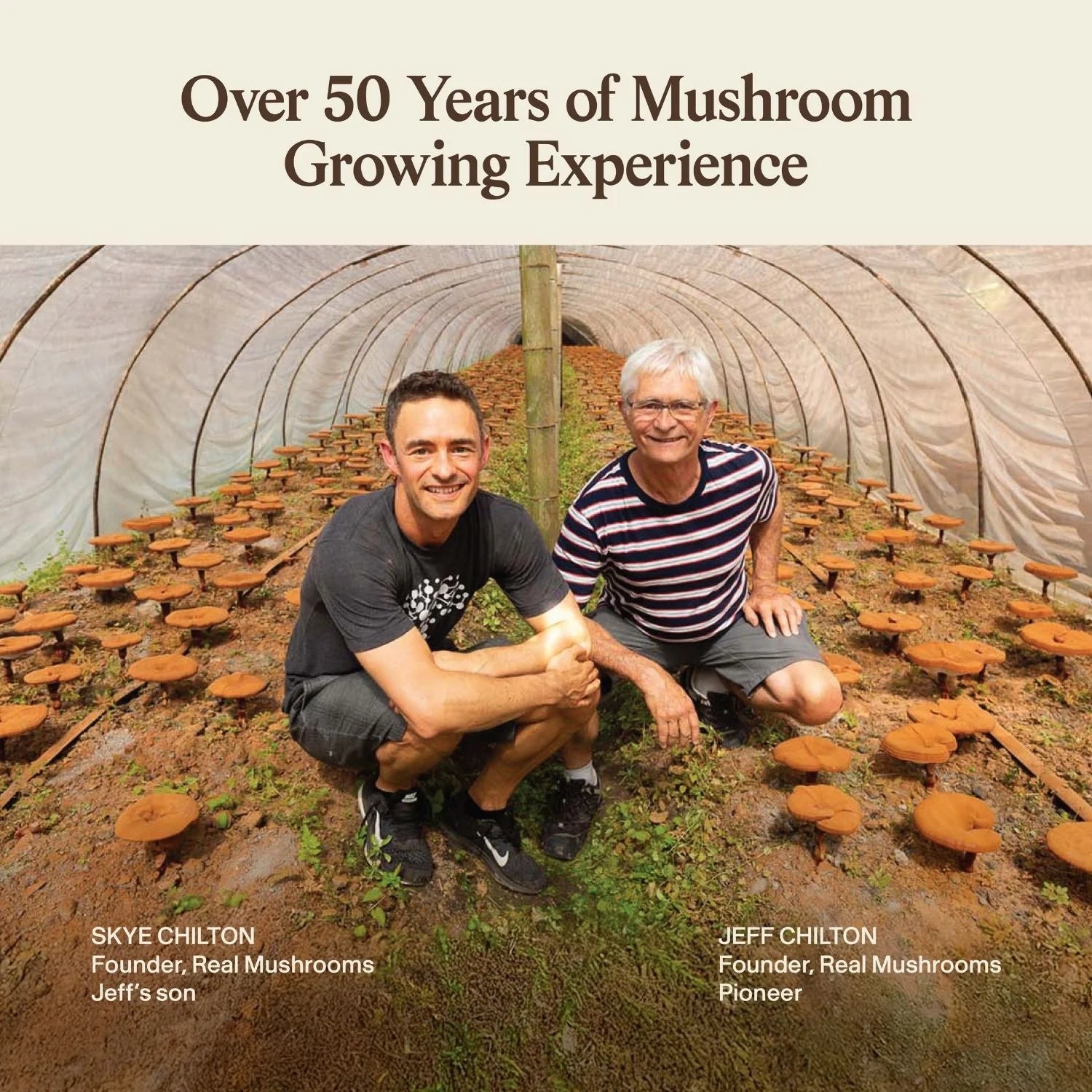 Organic Lion's Mane Extract Capsules (300 Capsules)